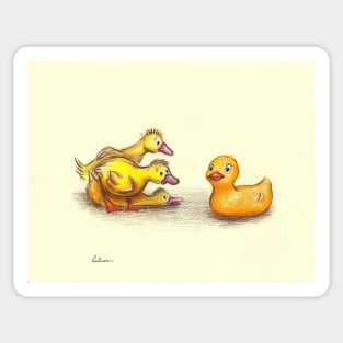 Little ducklings curious friend Sticker